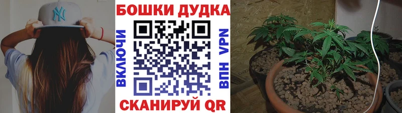 МЕФ Кирс