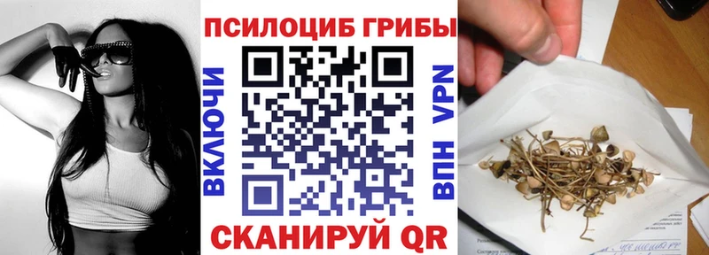где купить   Кирс  Псилоцибиновые грибы Cubensis 