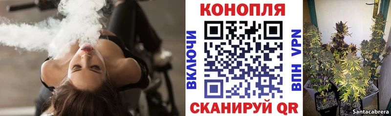 мега как зайти  Кирс  Марихуана ГИДРОПОН 